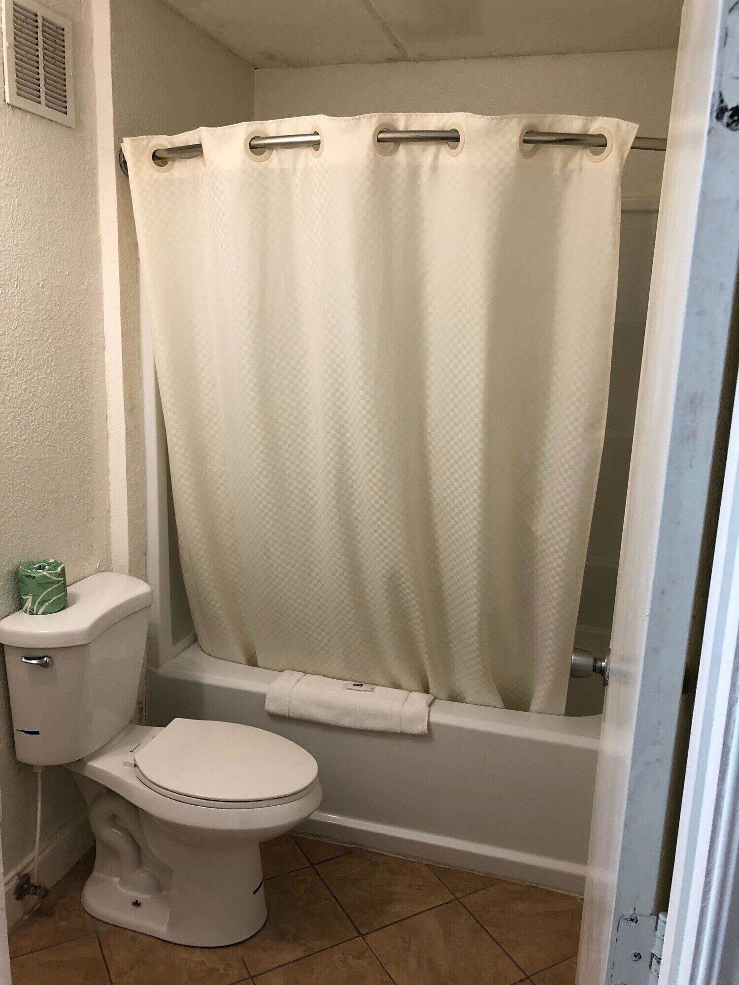 A bathroom with a toilet, a bathtub, and a shower curtain.