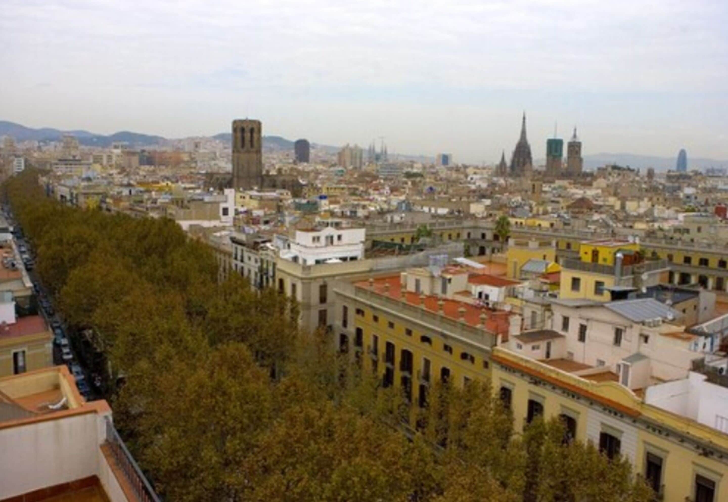 A cityscape with a prominent tower, dense urban buildings, and a tree-lined avenue.