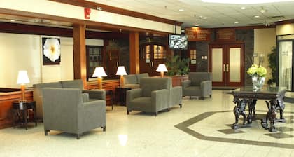 Toronto Plaza Airport Hotel-formelydays Hotel &con