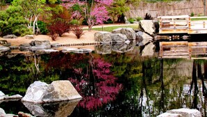 Un jardín tranquilo con un estanque, rocas y un puente de madera.