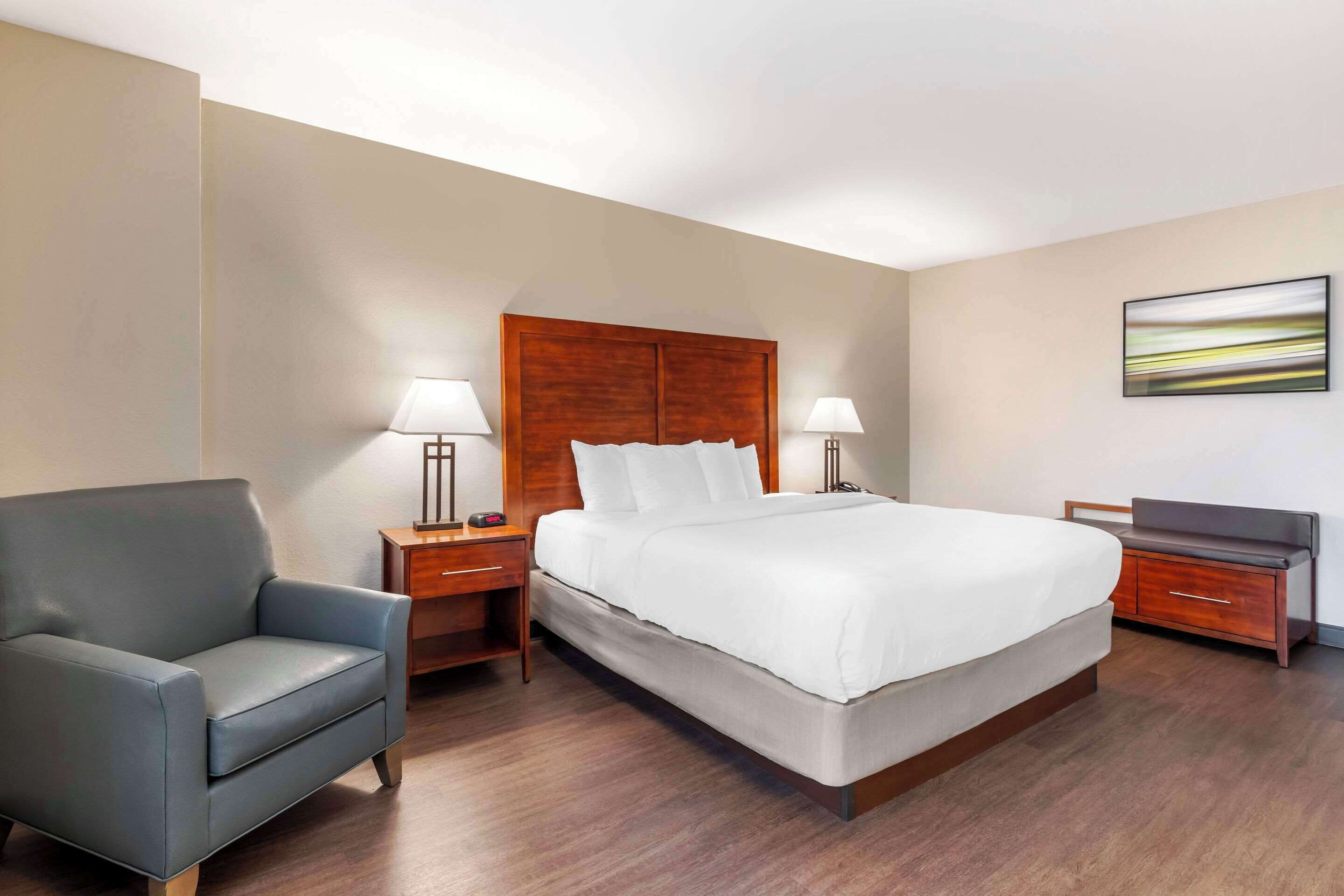 suite, 1 king bed with sofa bed, accessible, non smoking | premium bedding, pillow-top beds, in-room safe, desk