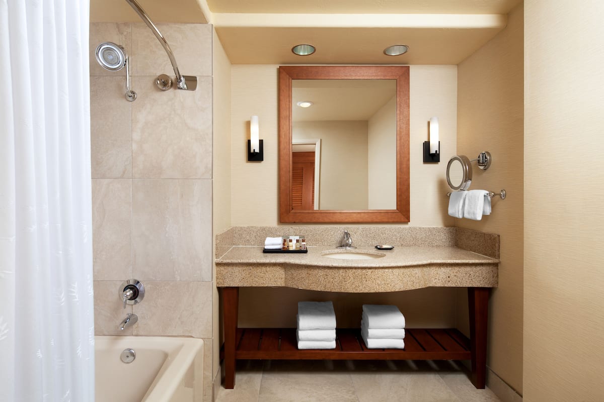 combined shower/bathtub, free toiletries, hair dryer, towels