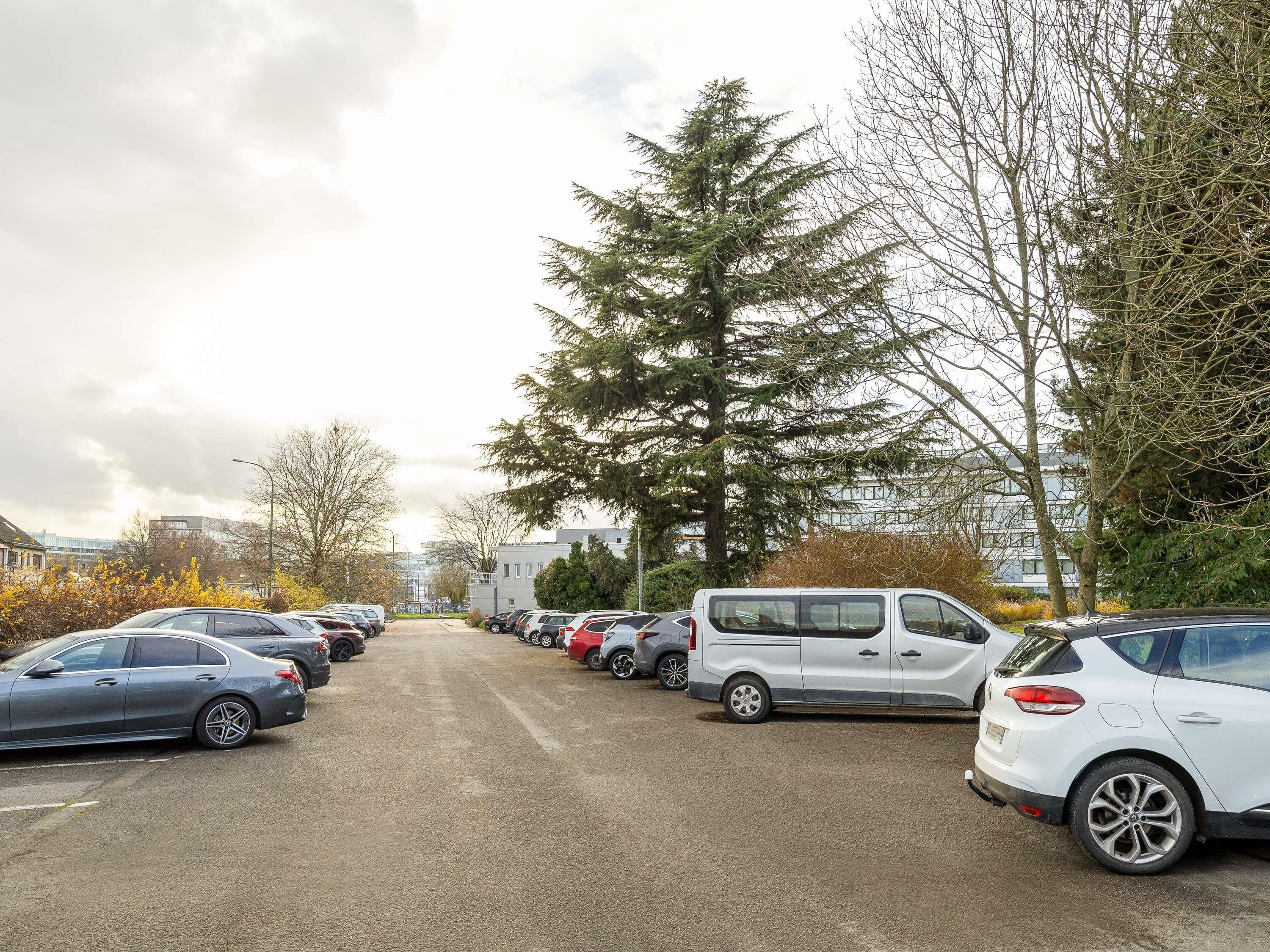 Un parking avec plusieurs voitures et un grand arbre.