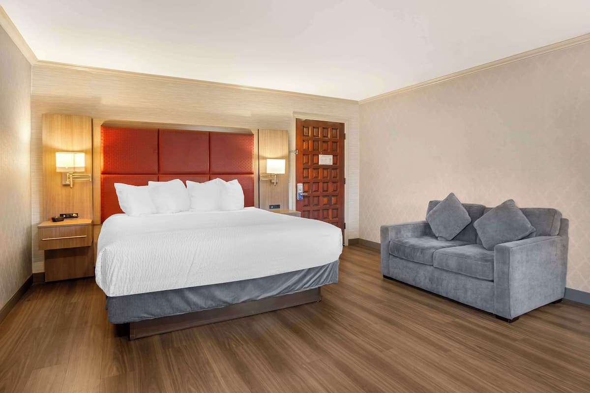 A hotel room with a large bed, a grey sofa, wooden flooring, and a red accent wall.