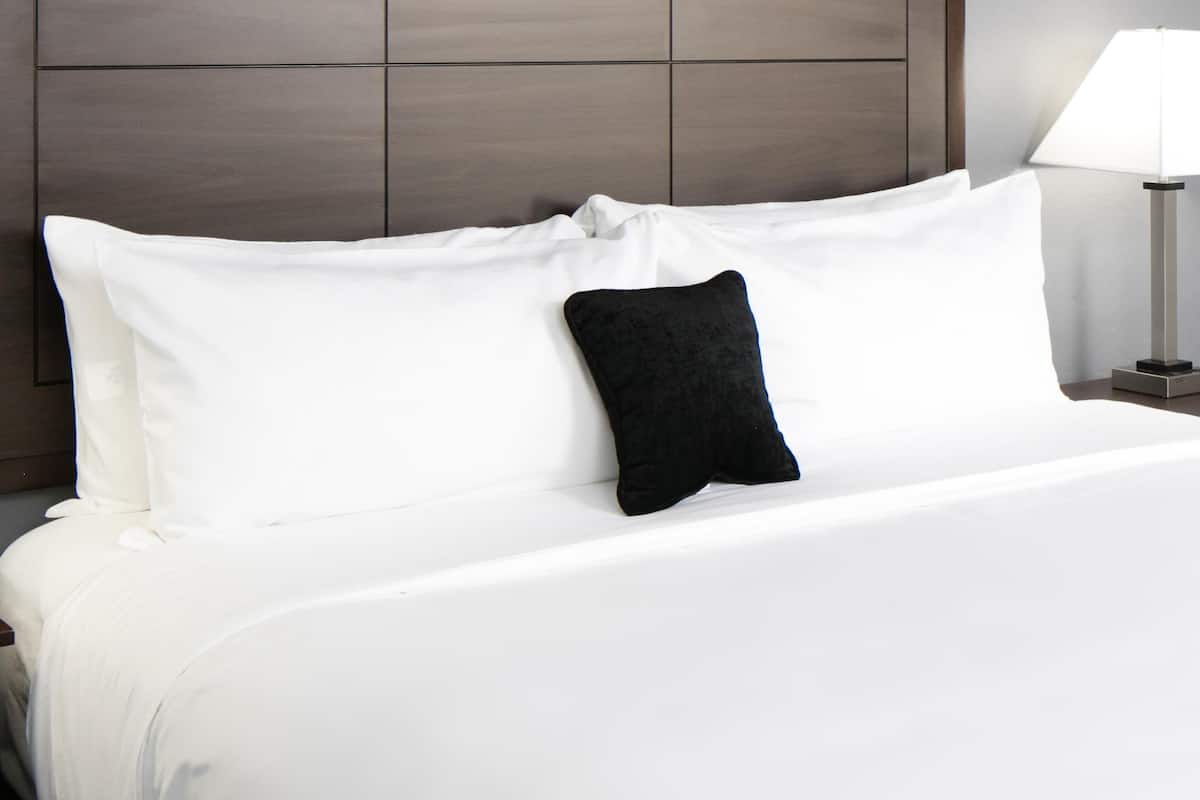 A neatly made bed with white linens and a single black pillow.