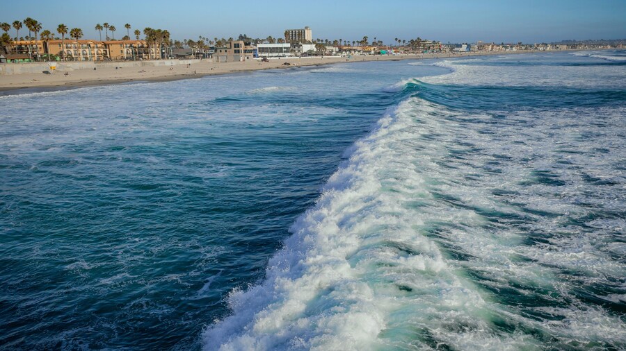 PB Surf Beachside Inn