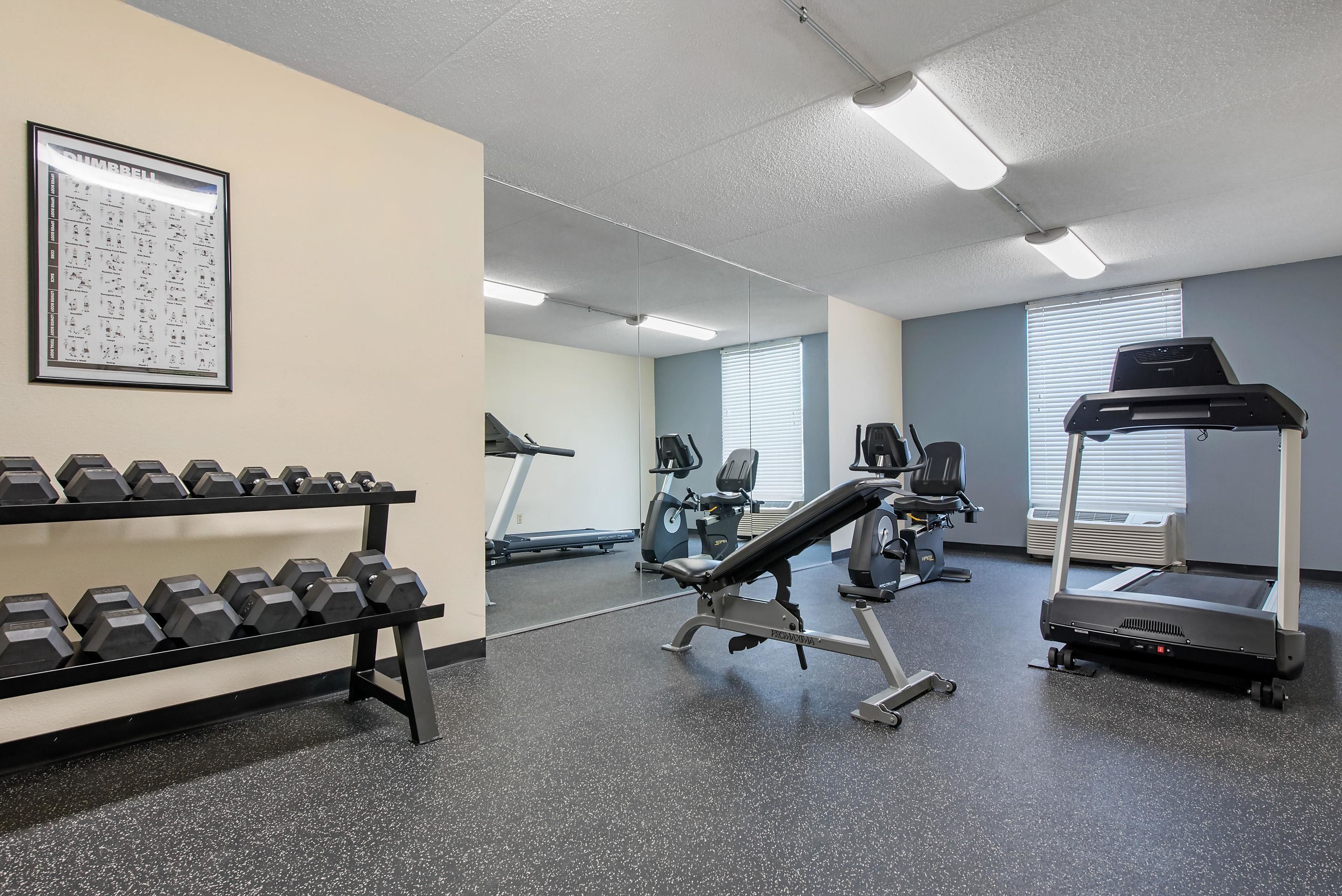 A gym with dumbbells, a bench press, treadmills, and exercise bikes.