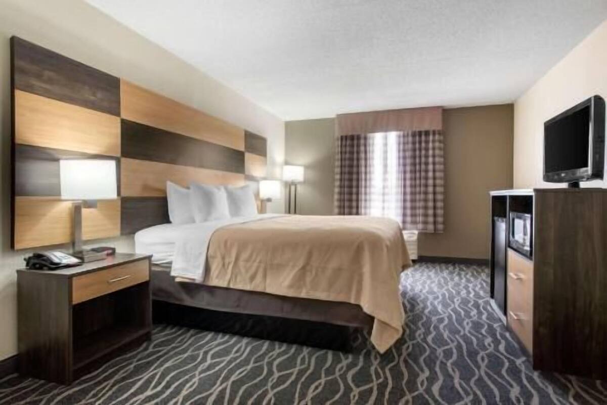 A hotel room with a bed, bedside tables, a TV, and a patterned carpet.