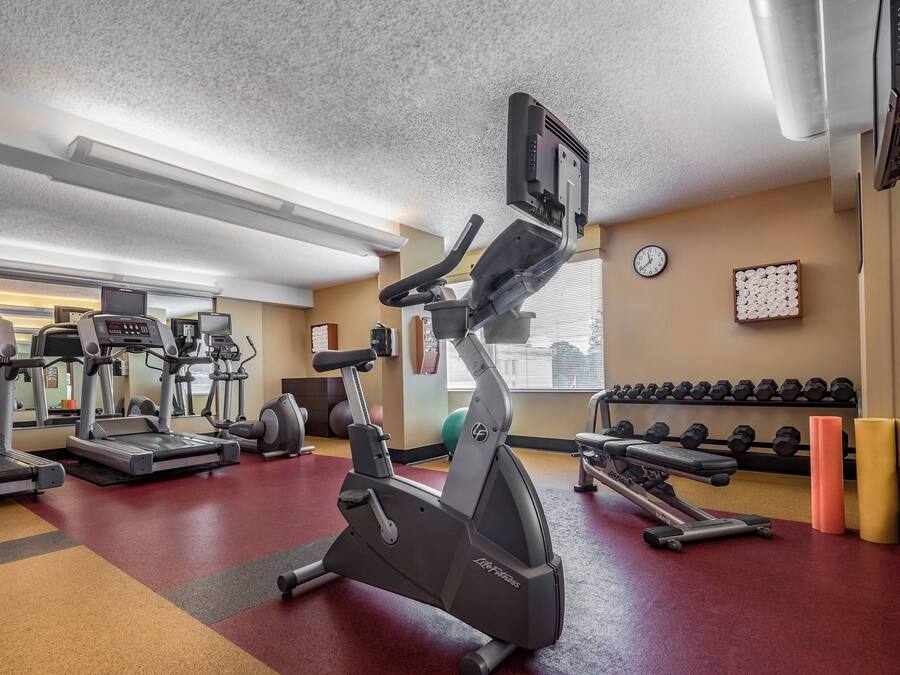 A gym with treadmills, elliptical machines, and free weights.