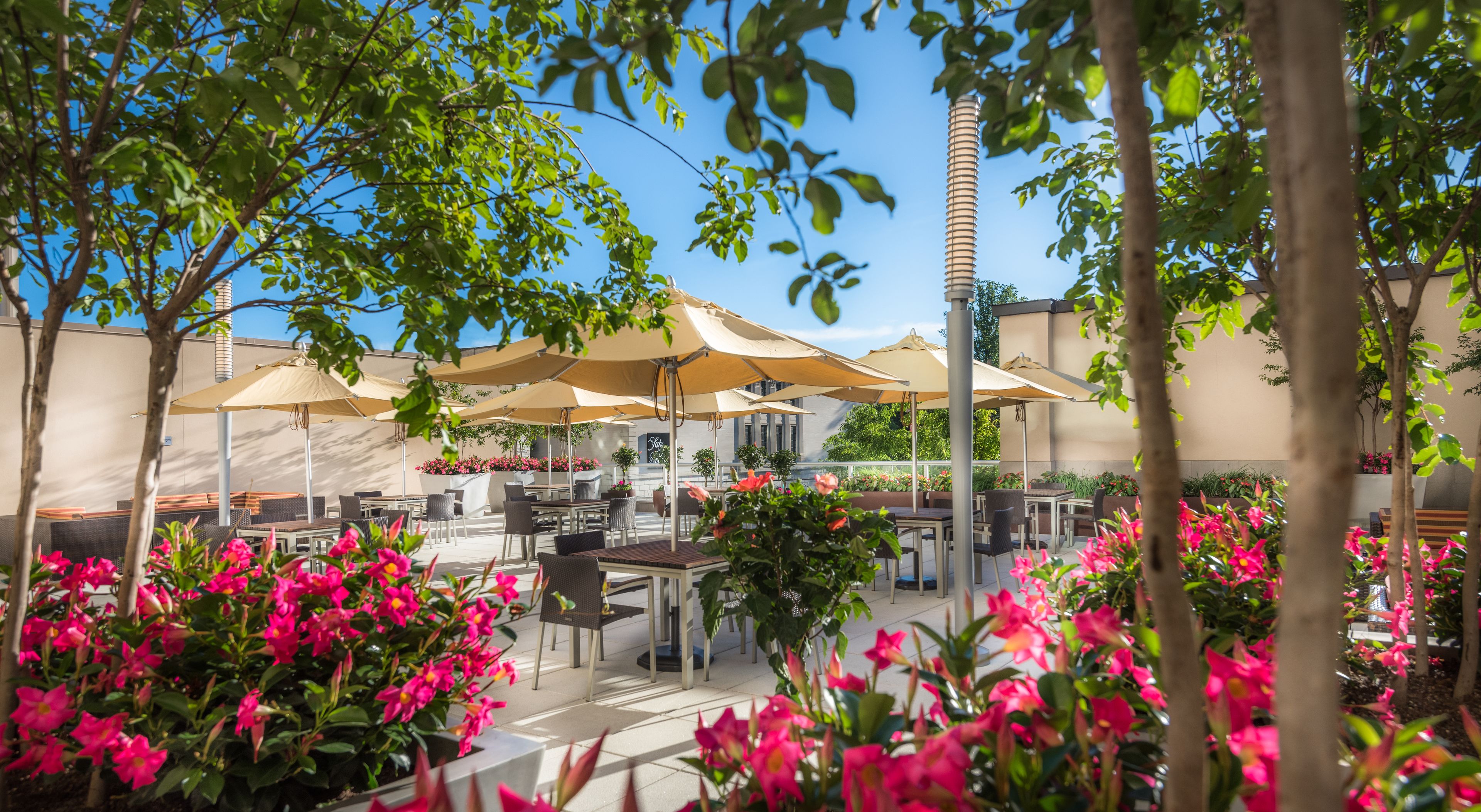 Photo - Courtyard by Marriott Bethesda Chevy Chase