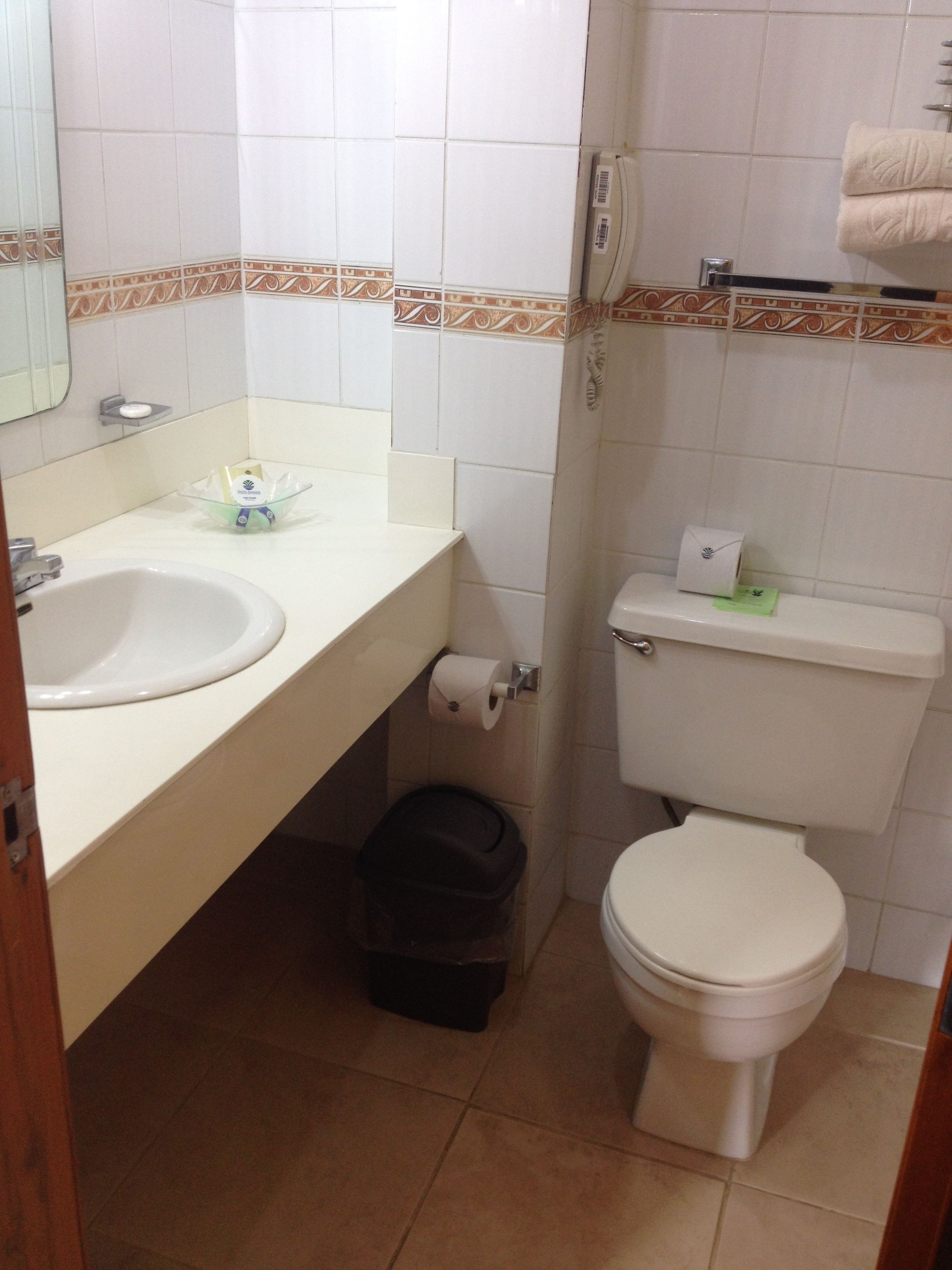 A small bathroom with a sink, toilet, and trash bin.
