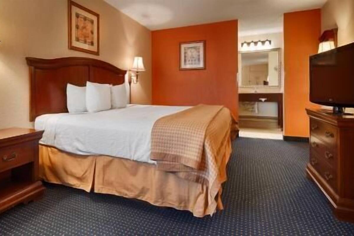 Ropa de cama de alta calidad, escritorio, cortinas opacas