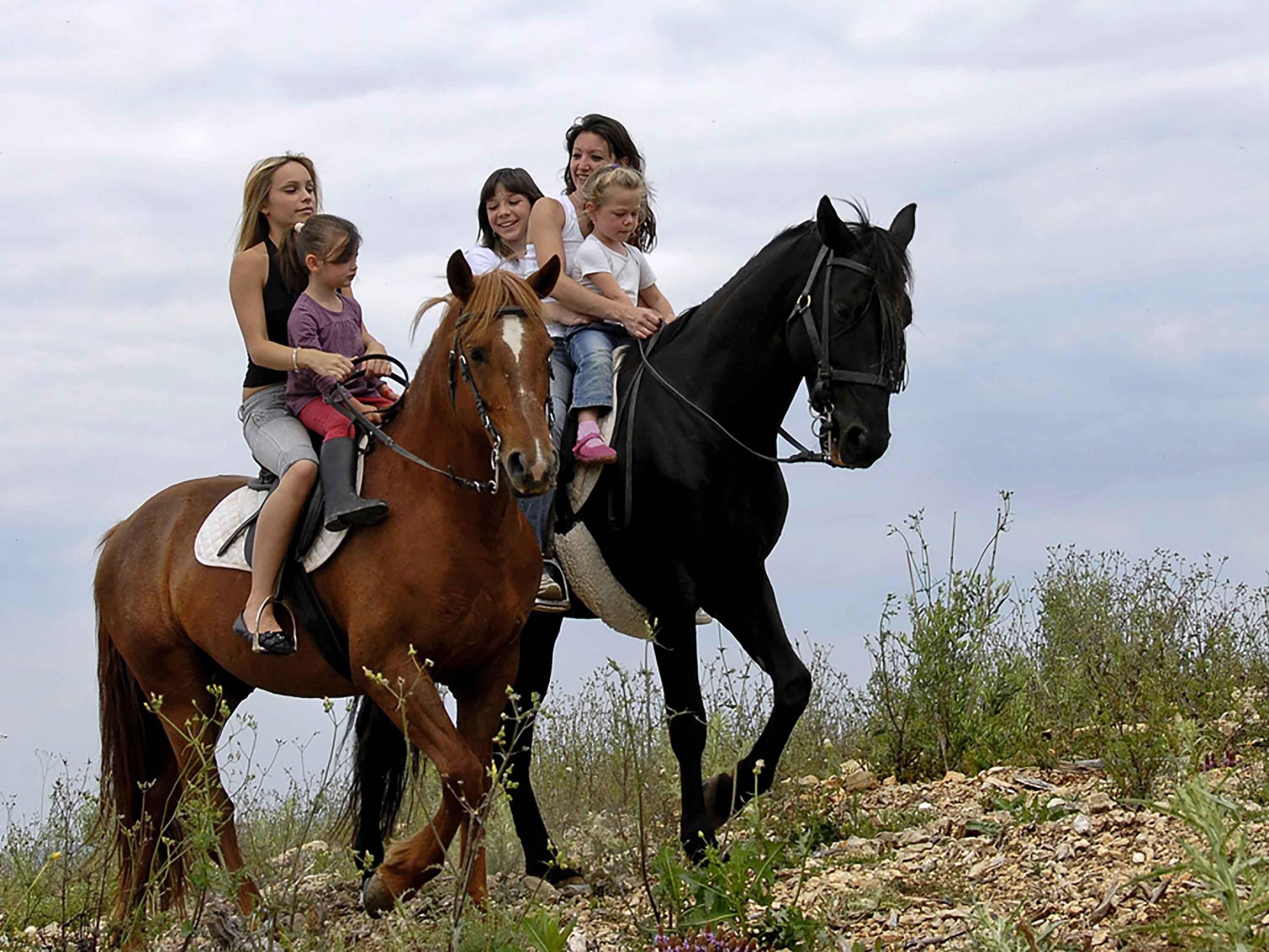 A group of people on horseback in an outdoor setting.
