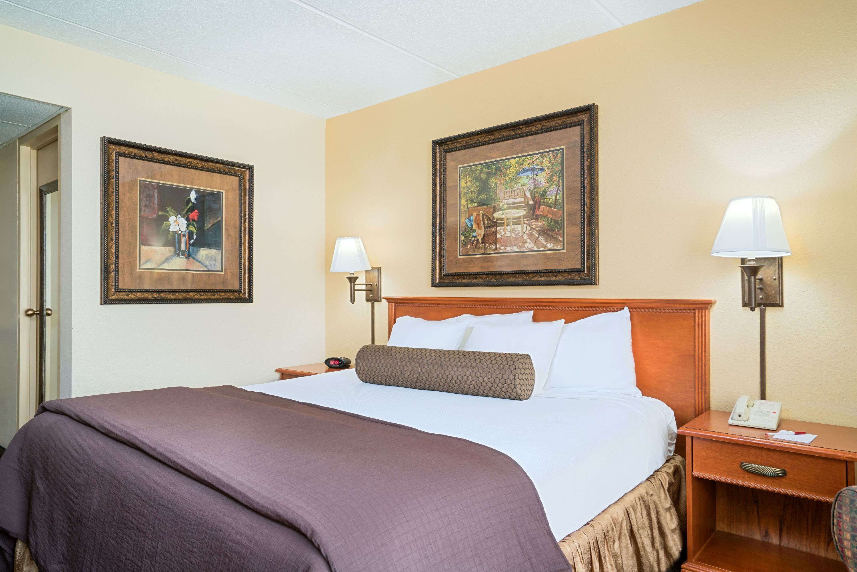 Une chambre d’hôtel avec un grand lit, deux tableaux encadrés au mur, une table de chevet avec une lampe et une petite table de nuit avec un téléphone.