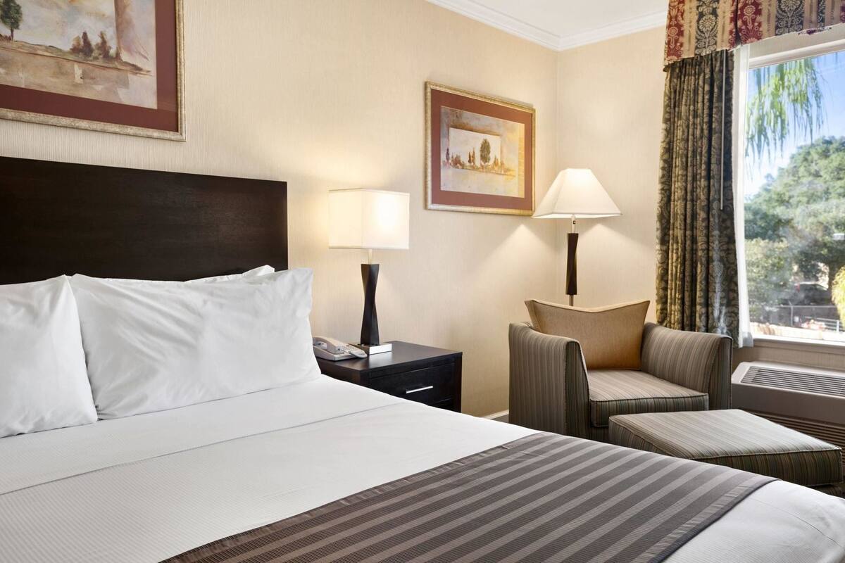 Premium bedding, desk, laptop workspace, blackout curtains