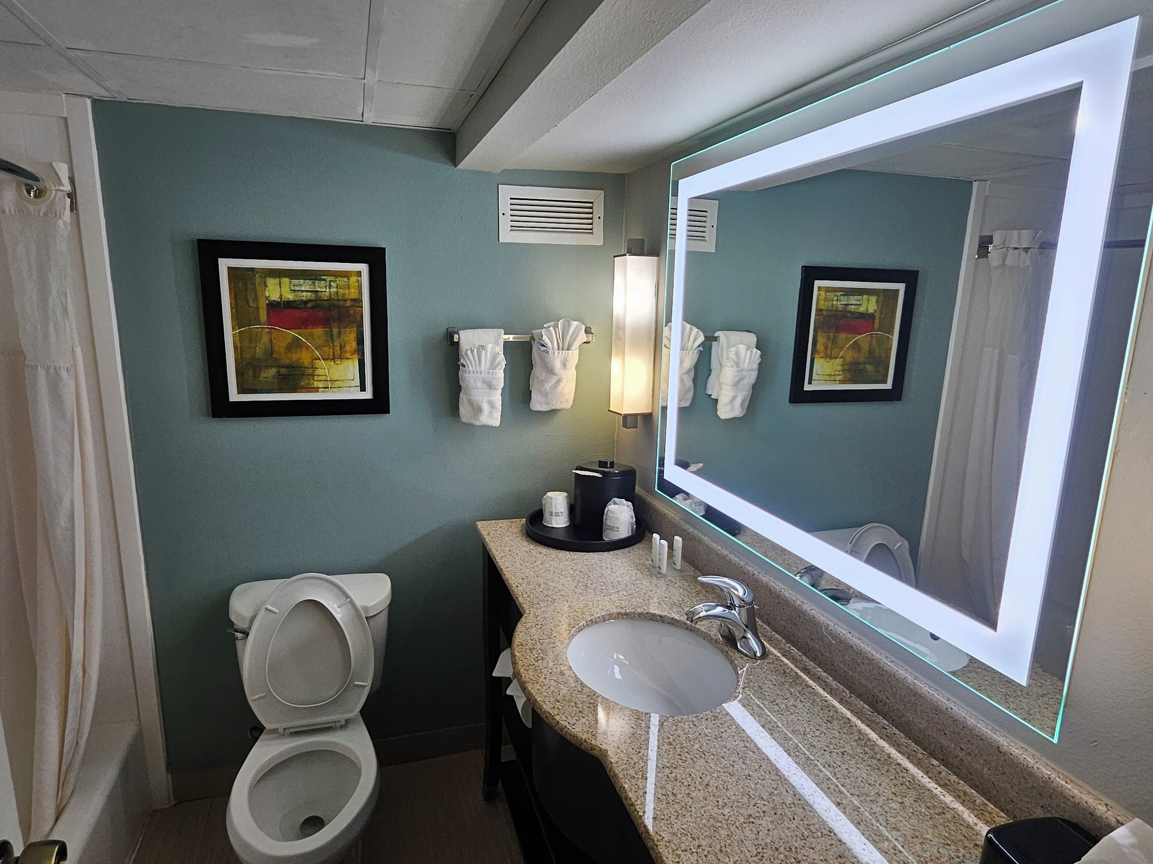 combined shower/bathtub, free toiletries, hair dryer, towels