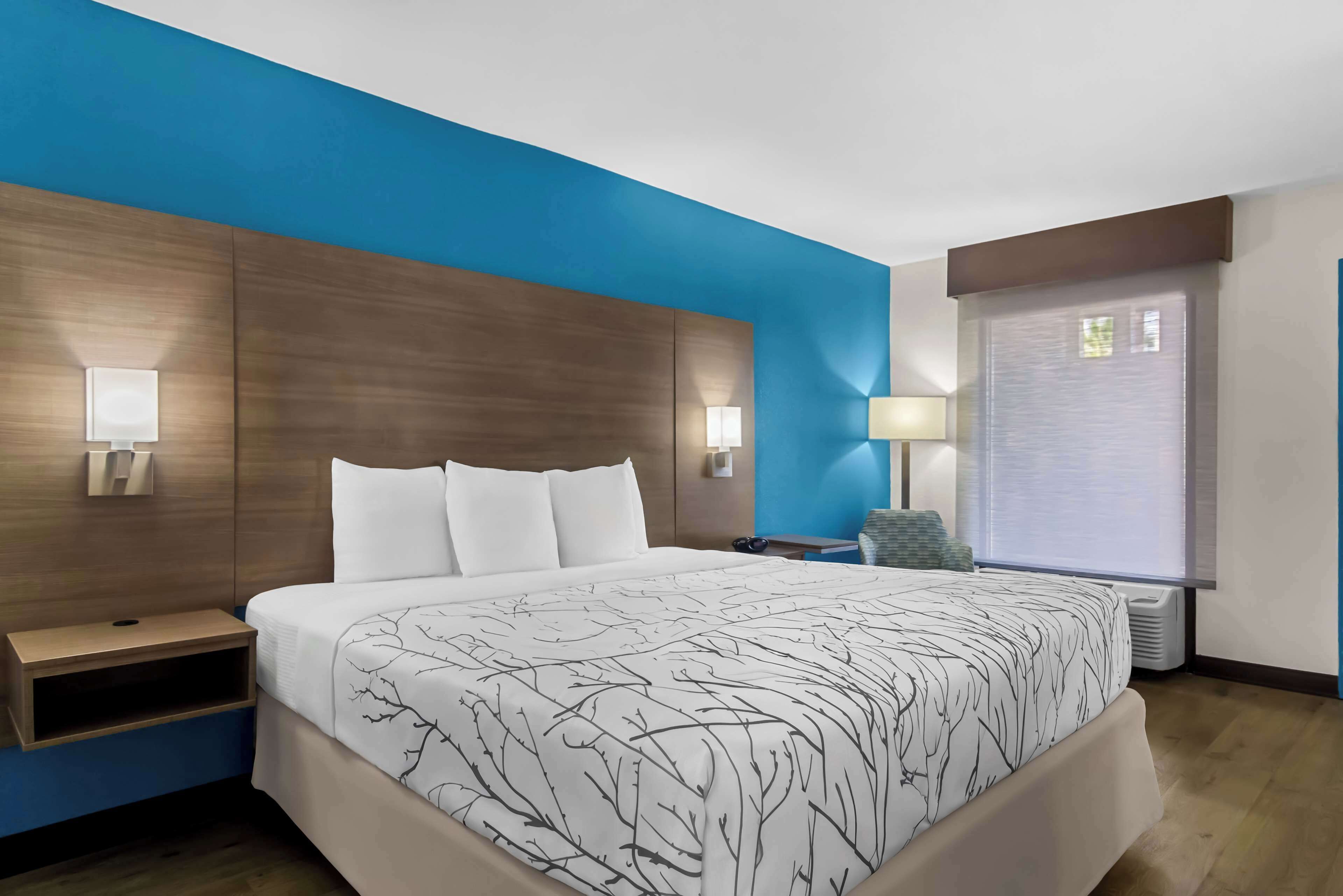 standard room, 1 king bed, accessible, refrigerator & microwave | desk, laptop workspace, iron/ironing board, free wifi