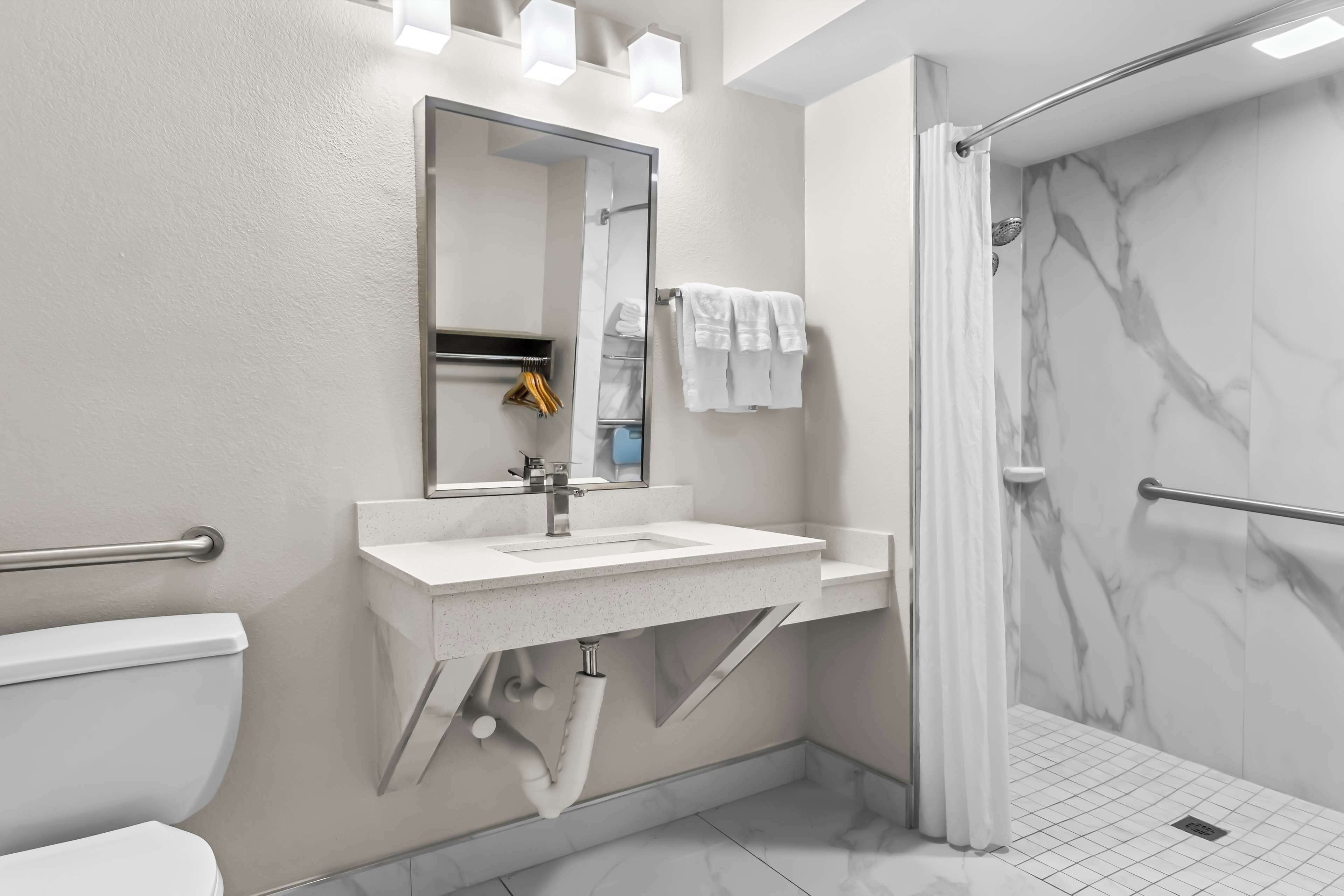 standard room, 1 king bed, accessible, refrigerator & microwave | bathroom | free toiletries, hair dryer, towels, soap