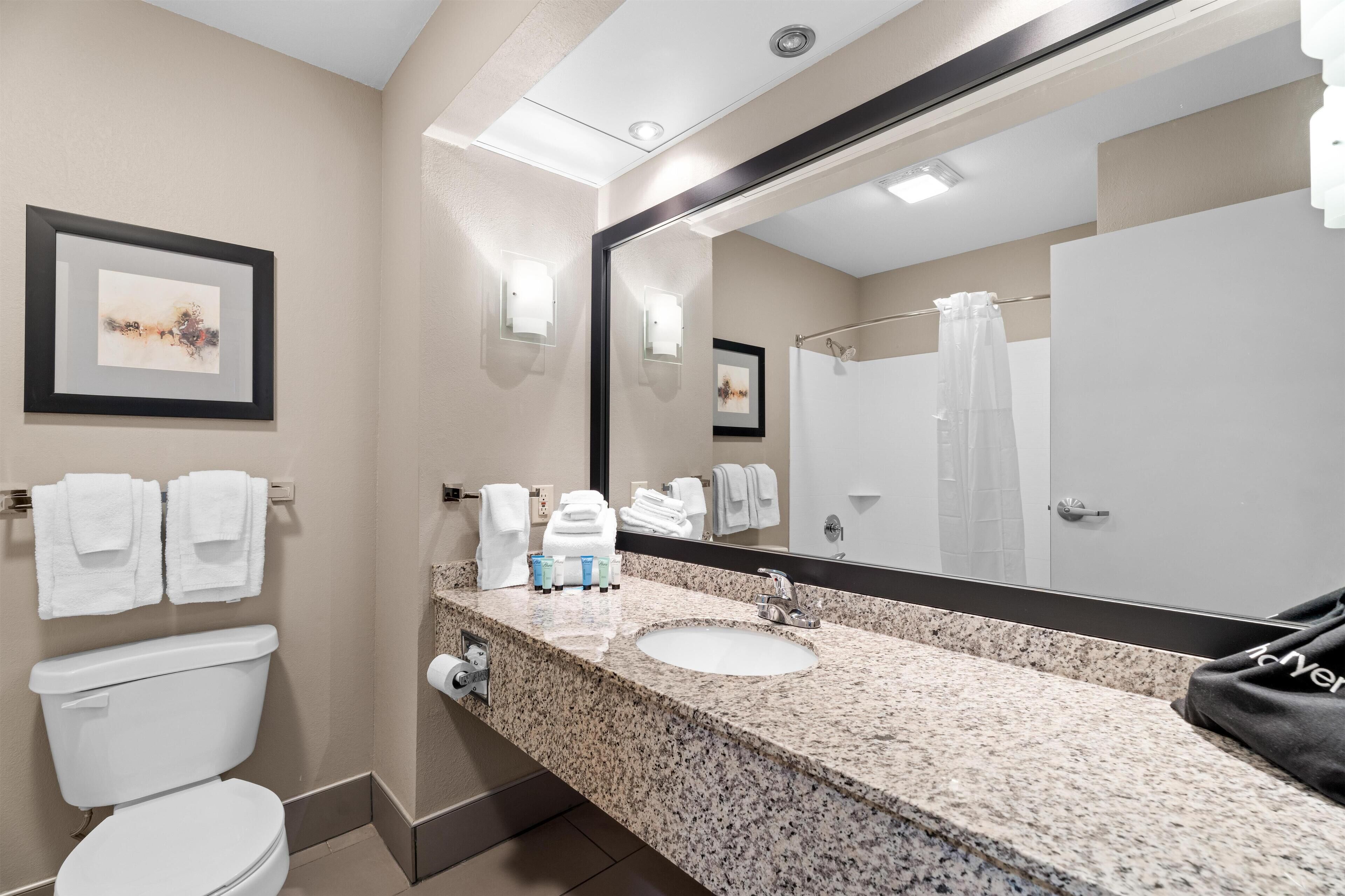Une salle de bain équipée de toilettes, d’un lavabo et d’un grand miroir. On y trouve des serviettes et des articles de toilette sur le comptoir.
