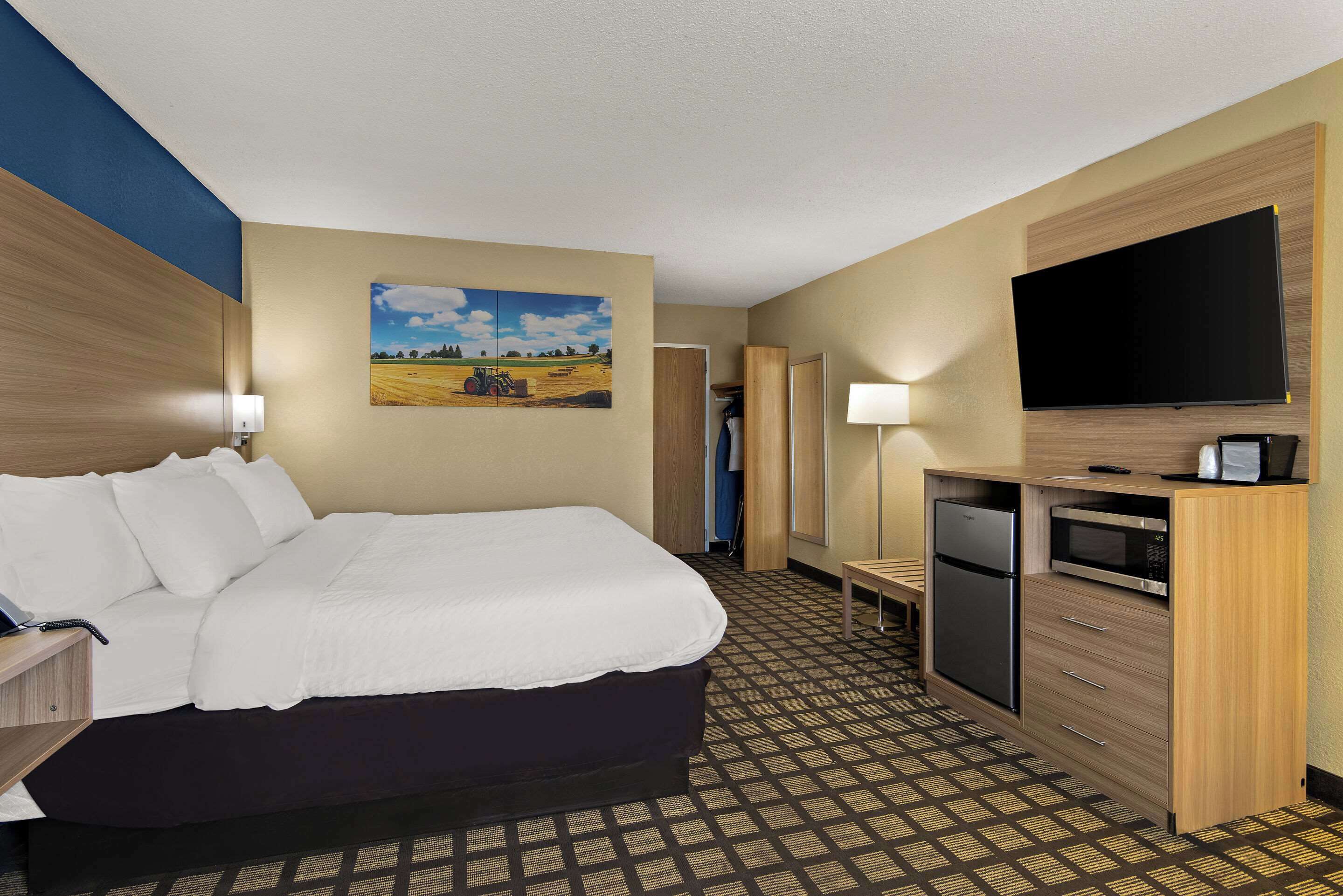 A hotel room with a bed, a TV, a microwave, and a refrigerator.