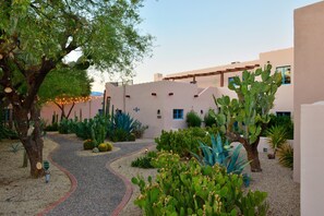 Stroll through a tranquil courtyard surrounded by lush greenery and desert plants, featuring a shaded area beneath a wooden pergola.