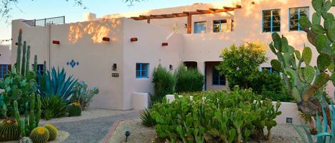 A building with a stucco exterior, blue window frames, and a cactus garden in the foreground.