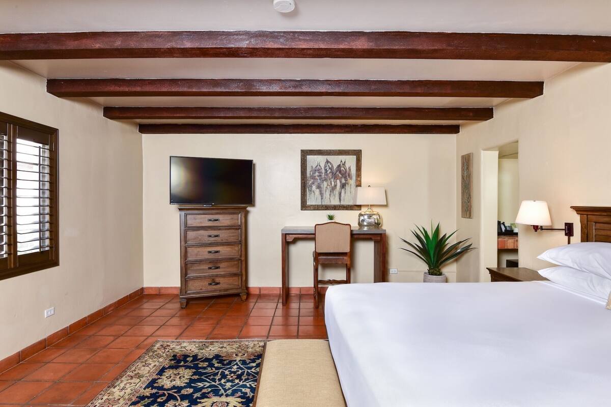 Une chambre à coucher comprenant un lit, un bureau, une chaise, une télévision et une plante en pot.