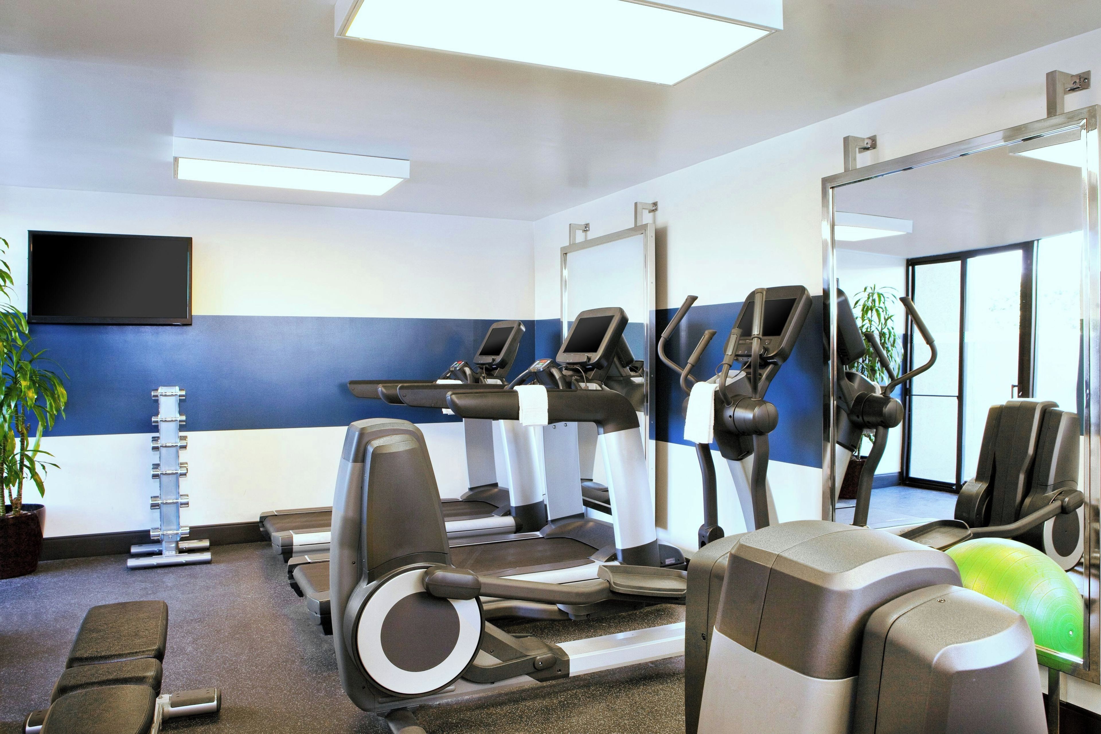 A gym with treadmills, stationary bikes, and exercise balls.