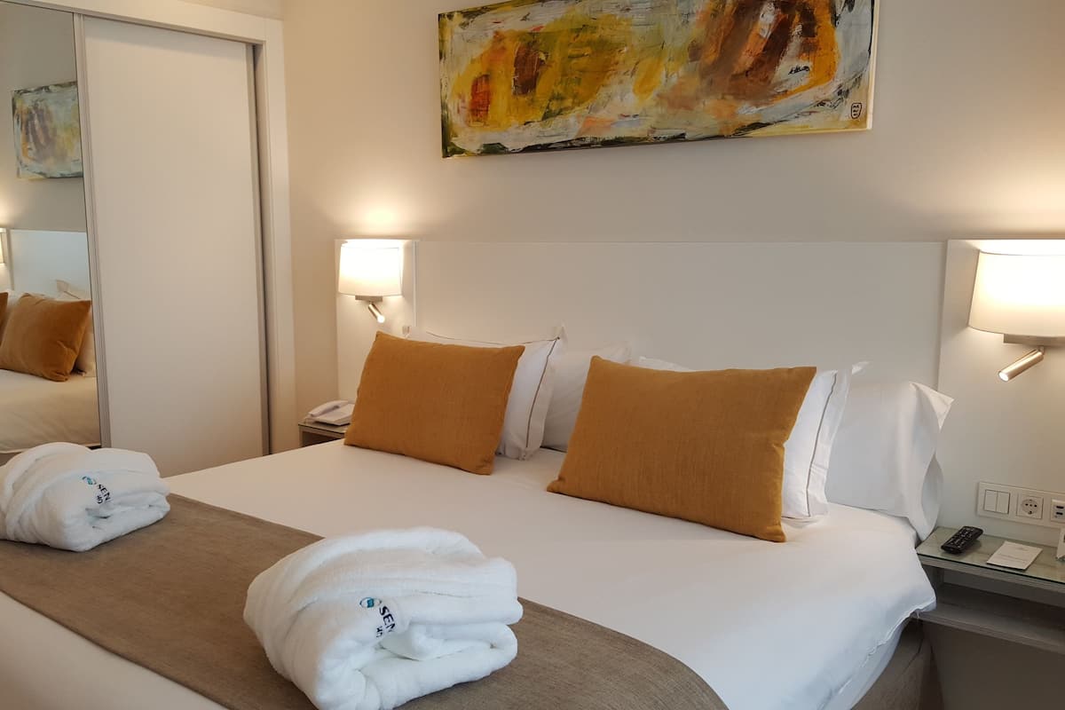 Habitación doble ejecutiva | Escritorio, insonorización, tabla de planchar con plancha y wifi gratis