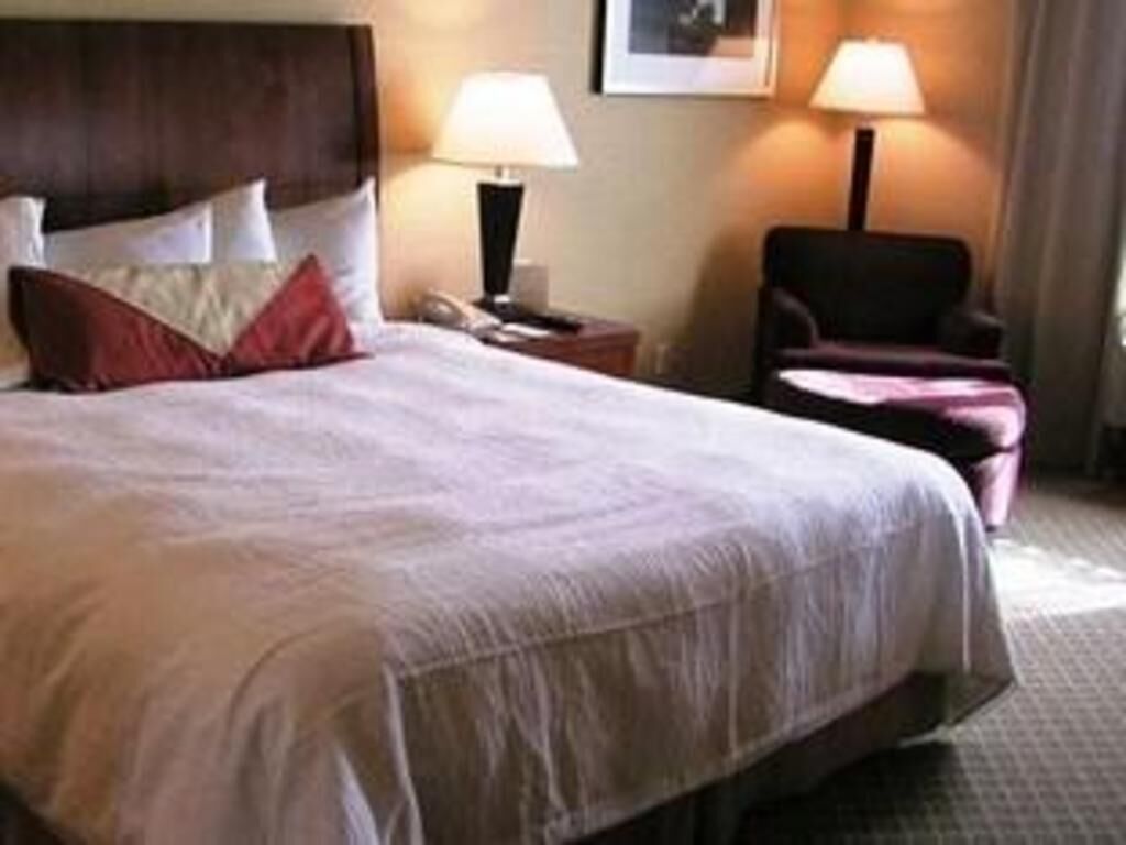 Egyptian cotton sheets, premium bedding, down duvets, desk