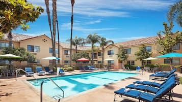 ์ผ์ธ ์์์ฅ, 08:00 ~ 20:00 ์คํ, ์์์ฅ ํ๋ผ์, ์ผ๊ด์ ์์