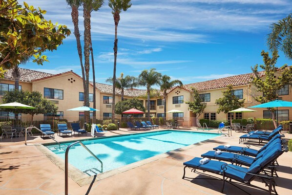 Outdoor pool, open 8:00 AM to 8:00 PM, pool umbrellas, pool loungers