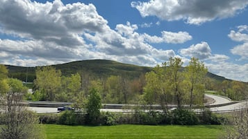 A grassy field with trees and a mountain in the background.