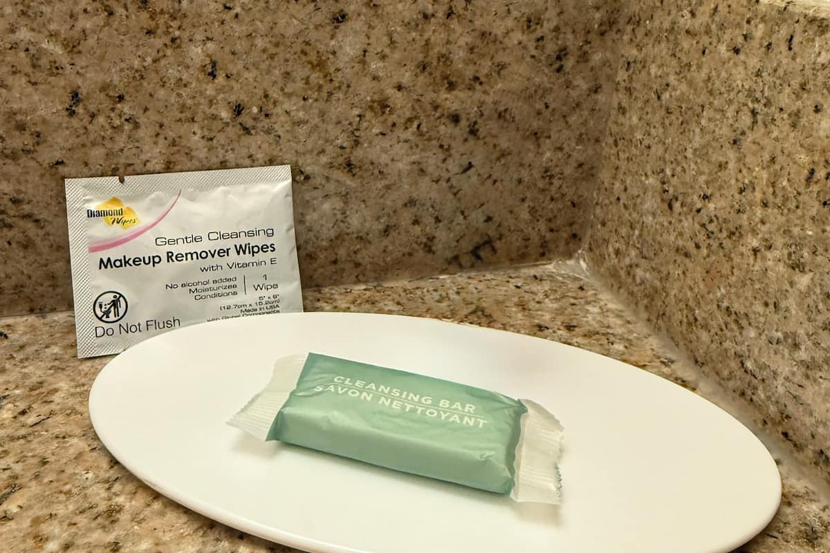 combined shower/bathtub, free toiletries, hair dryer, towels