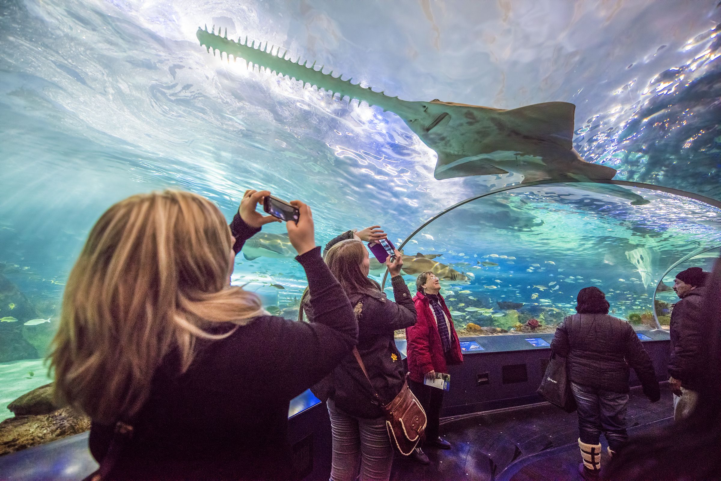 Personas observando un tanque grande de tiburones en un acuario.