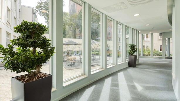 Un pasillo amplio con ventanas grandes, un árbol en maceta y vistas a un patio exterior.