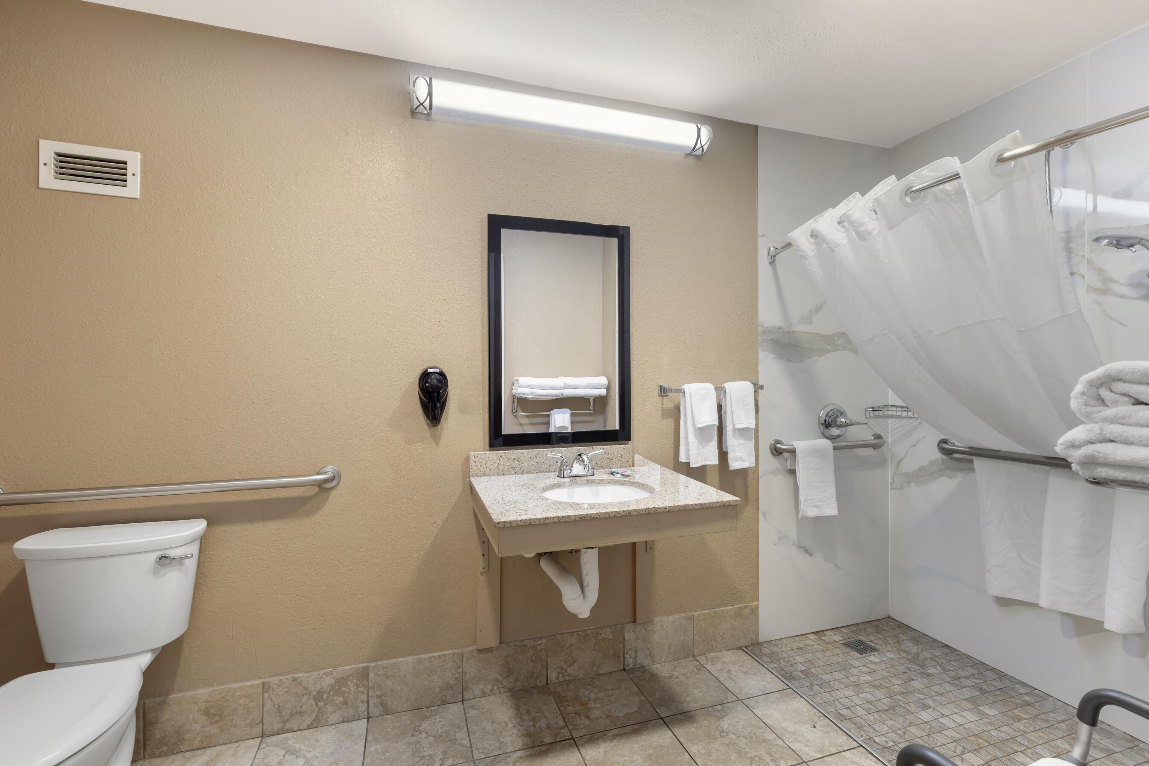 A bathroom with a toilet, sink, mirror, shower curtain, and handrails.