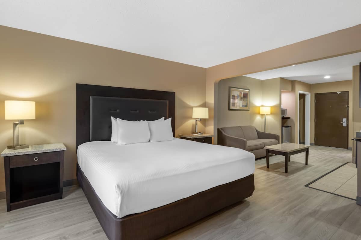 Suite, 1 cama King size, para no fumadores, refrigerador y microondas | Escritorio, espacio para trabajar con laptop y cortinas blackout