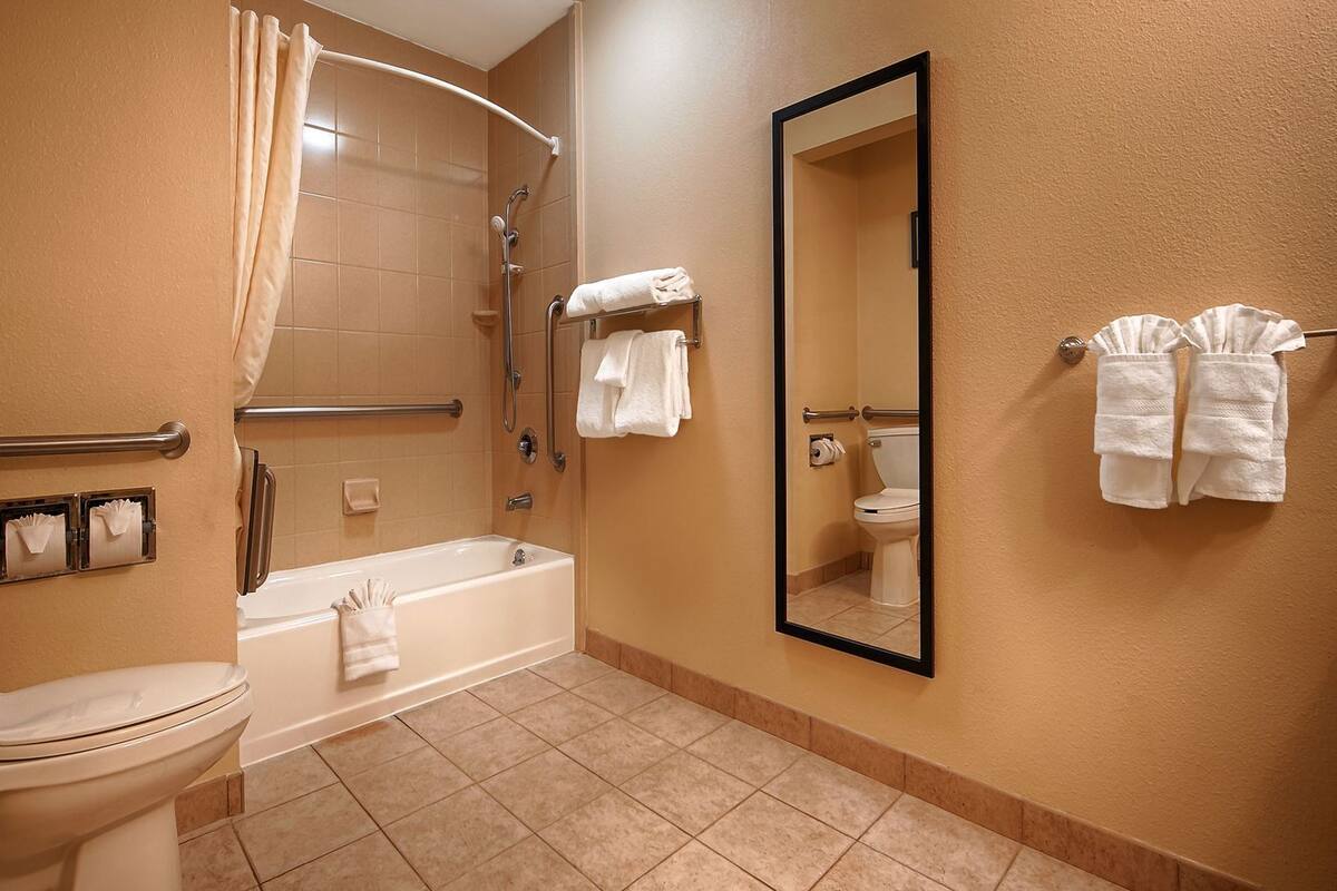 Een badkamer met toilet, bad, douche en een grote spiegel.