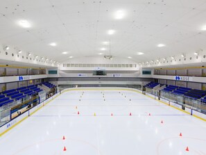 Ice skating