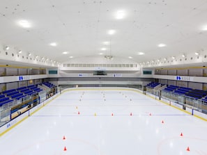 Ice skating