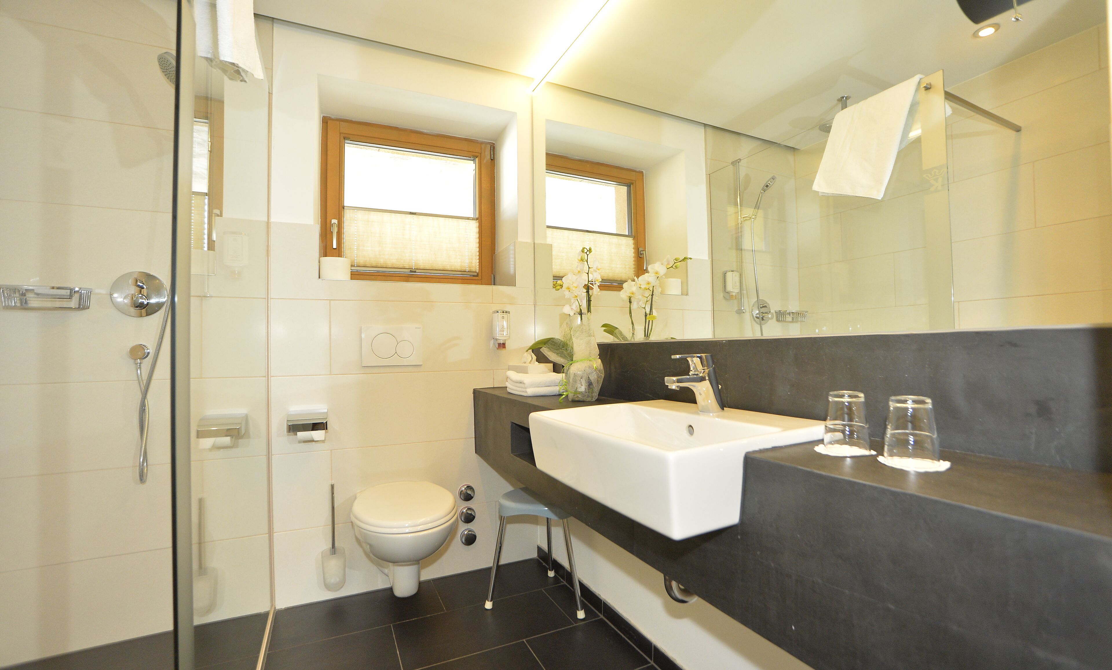 A modern bathroom with a glass shower enclosure, a toilet, a sink with a dark countertop, and a mirror above the sink.