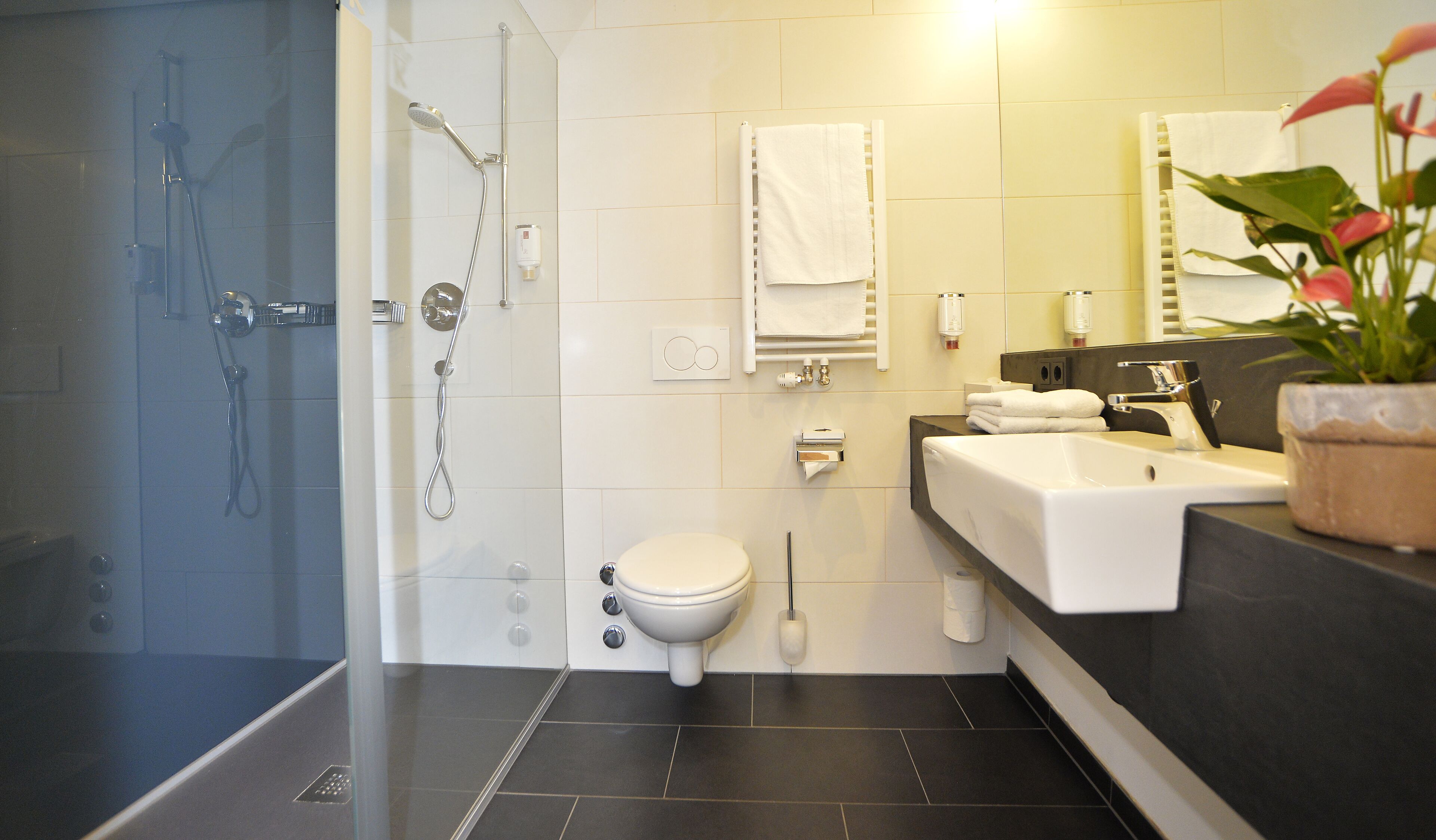 hair dryer, towels, soap, shampoo