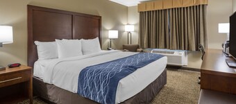 Comfort Inn Sunnyvale - Silicon Valley