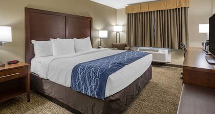 Comfort Inn Sunnyvale - Silicon Valley