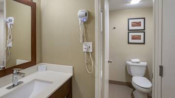 Un baño de hotel con un lavabo, un secador de pelo, un inodoro y dos cuadros en la pared.