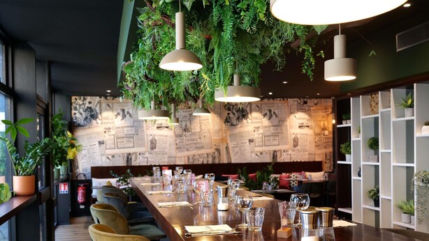 Un restaurante con una larga barra de madera, varias sillas, plantas colgantes y una pared con recortes de periódicos.