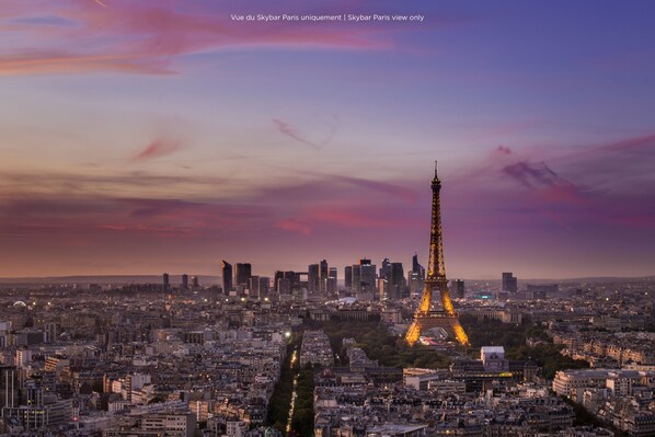 A panoramic view of Paris with the Eiffel Tower prominently in the center, surrounded by a dense urban landscape. - Pullman Paris Montparnasse Hotel (Paris)