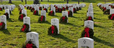 A cemetery with numerous white headstones, each adorned with a red ribbon and greenery.