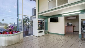 A spacious lobby with a large window, a vending machine, a coffee station, and a potted plant with flowers. - Rodeway Inn Clearwater - Largo (Clearwater)